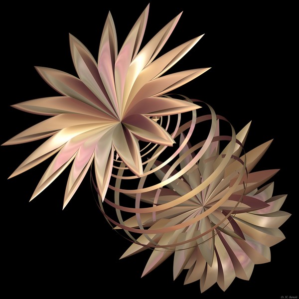 Flowers In Pink