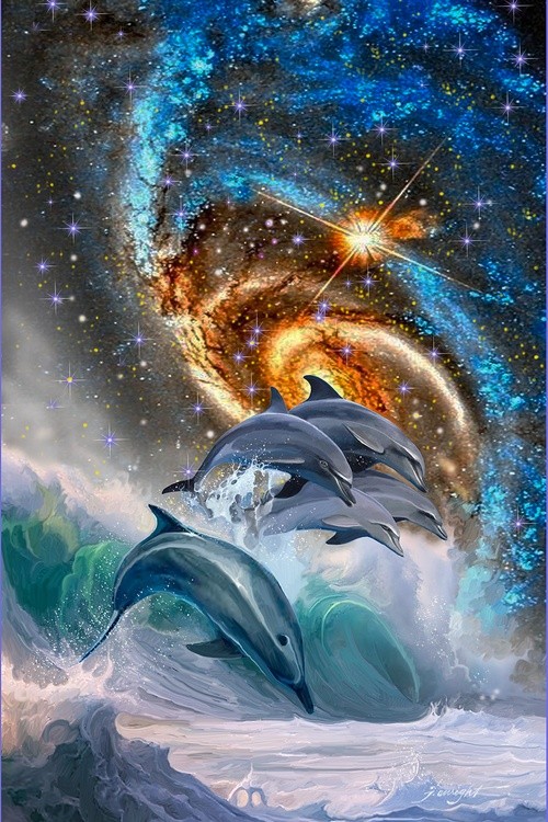 Dolphin Dance 2