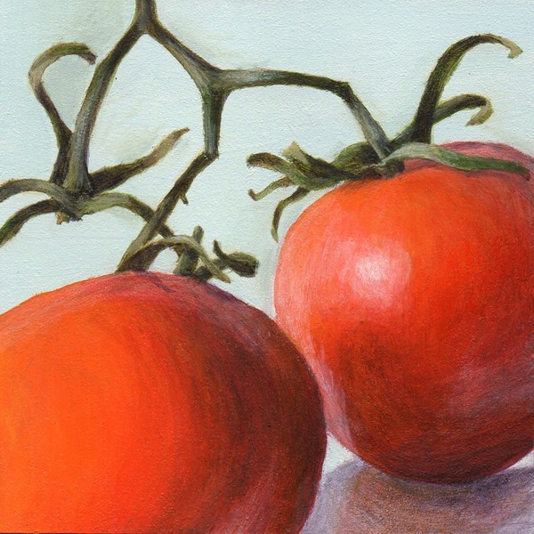 Fruits of Summer