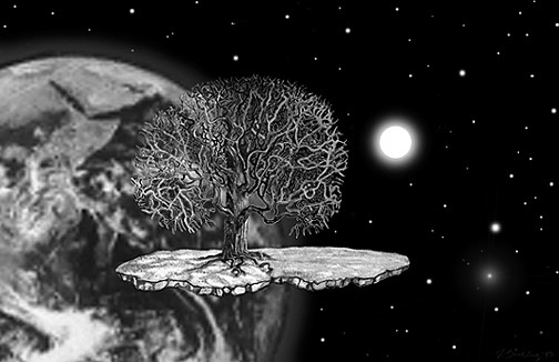 Deciduous Dreams
