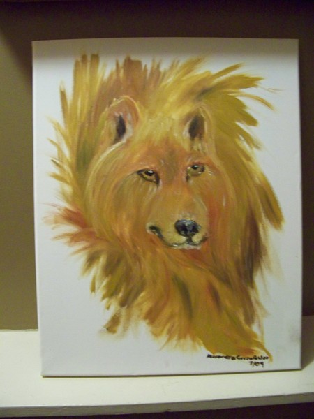 Indian Wolf