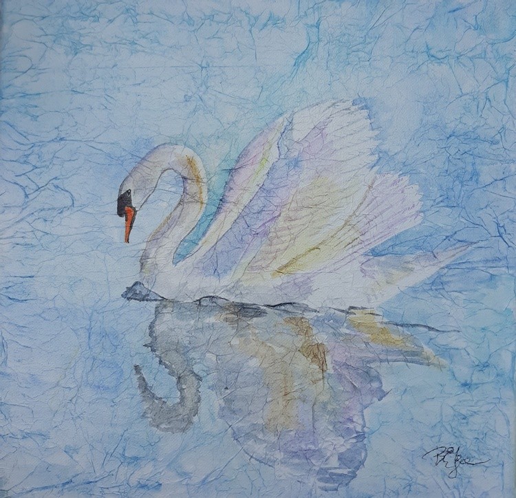 Reflective Swan