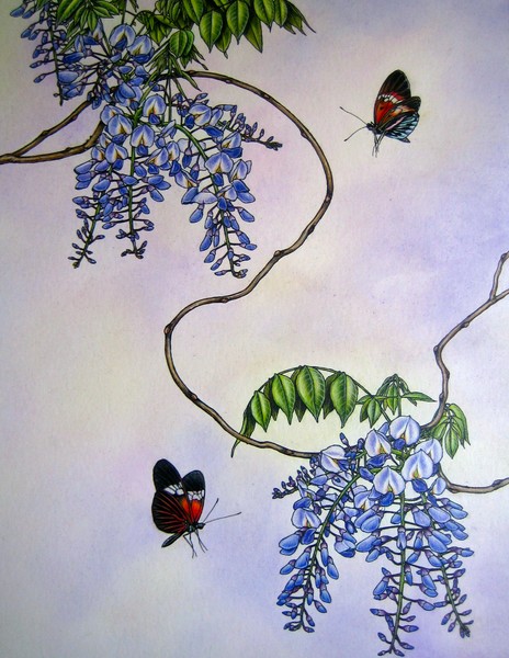 Wisteria and Heliconius Butterflies