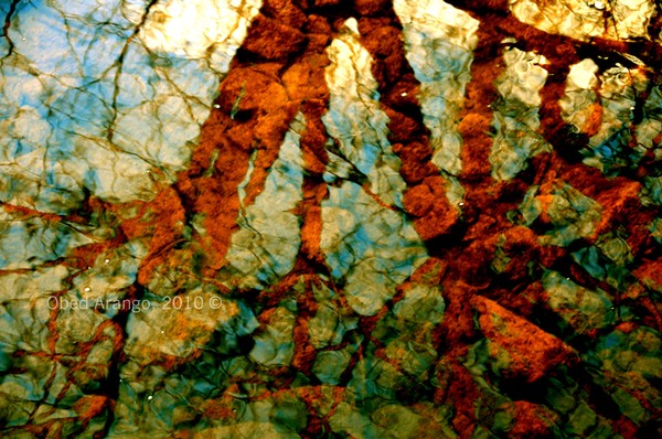 First Sun of SpringII/Primer sol de primaveraII