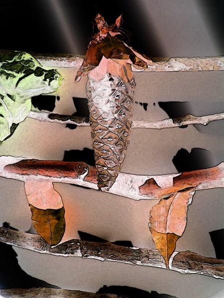 CONE