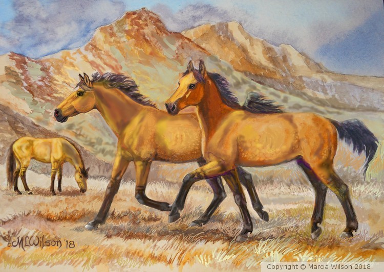 Oregon Kiger Mustangs