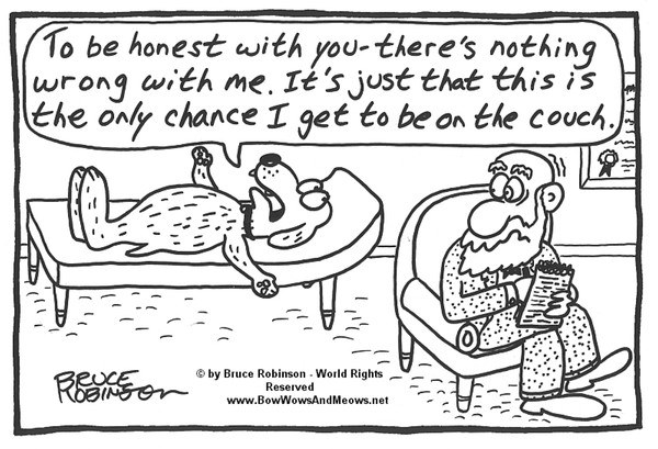 BOW WOWS & MEOWS® DOG Cartoon - 