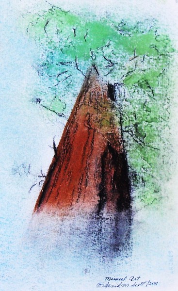 General Sherman, Redwood old and biggest living th