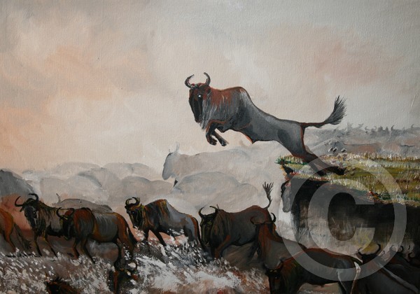 The Plunge H46xW61 cm