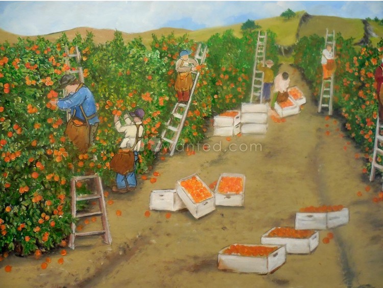 Orange Pickers
