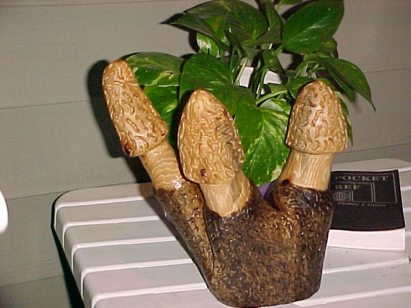 Mushroom Crown