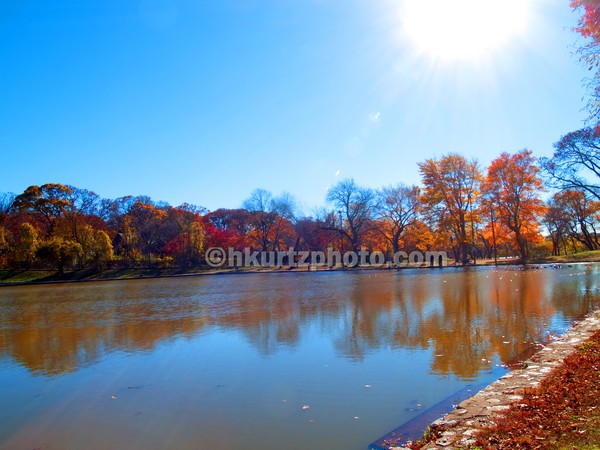 Sun over the pond