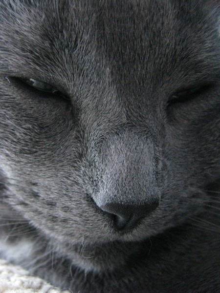 Rest