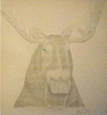 Moose