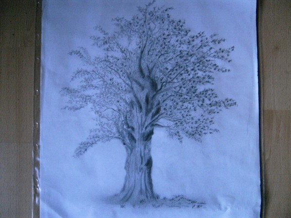 tree