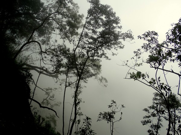 BLACK & MISTY