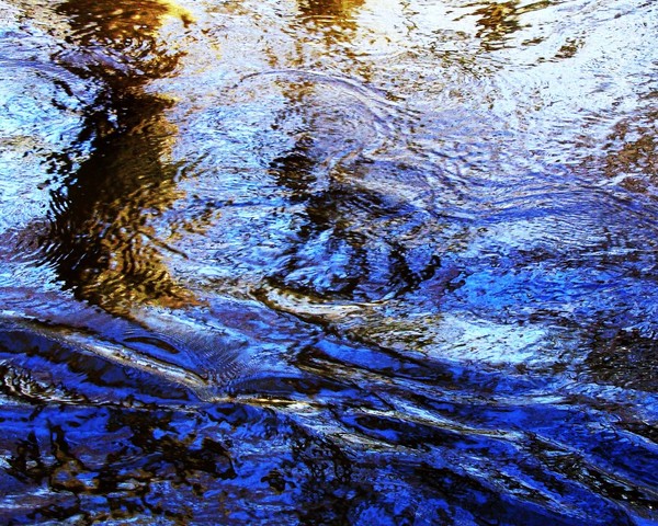 Jaws 8714  11x14 Print