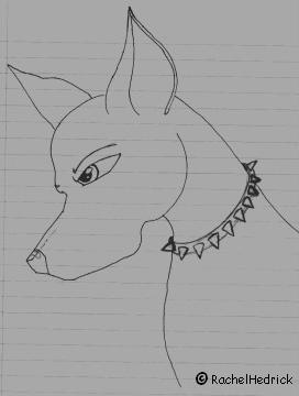 Doggeh