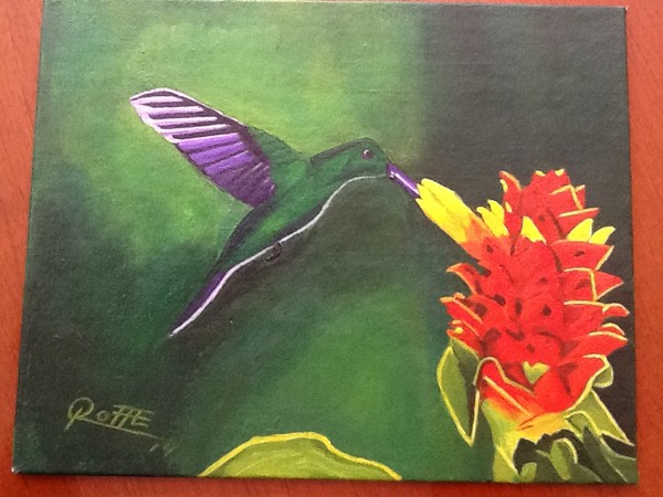 COLIBRI NOCTURNO II