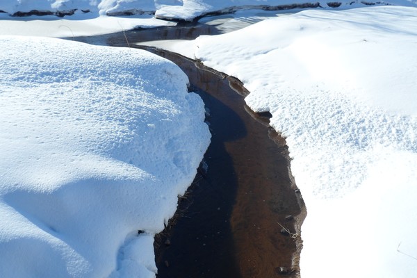 Winter Brook