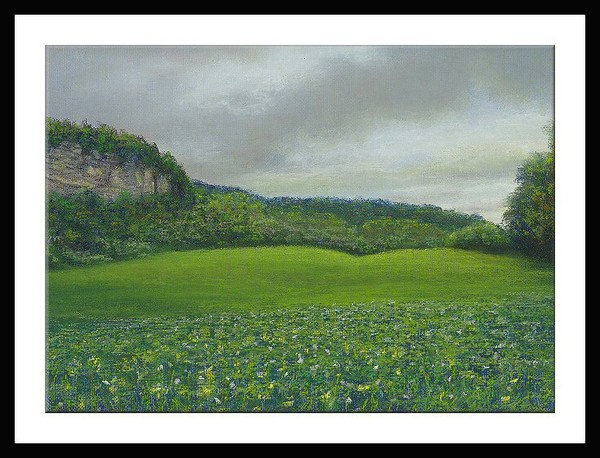 Niagra Escarpment Burlington Ontario