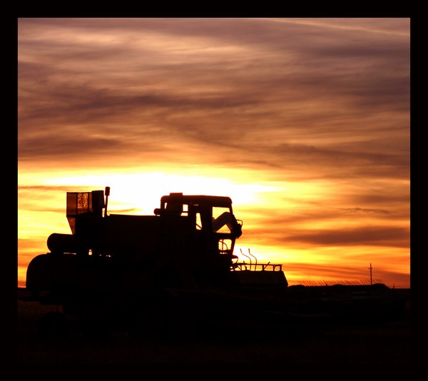 combine at sunset