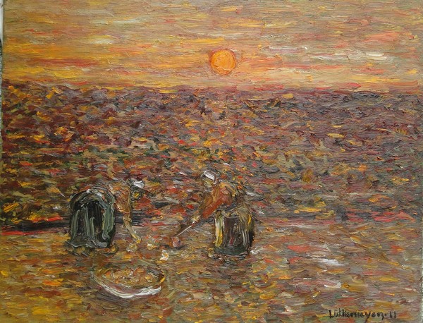Colhedoras de batatas