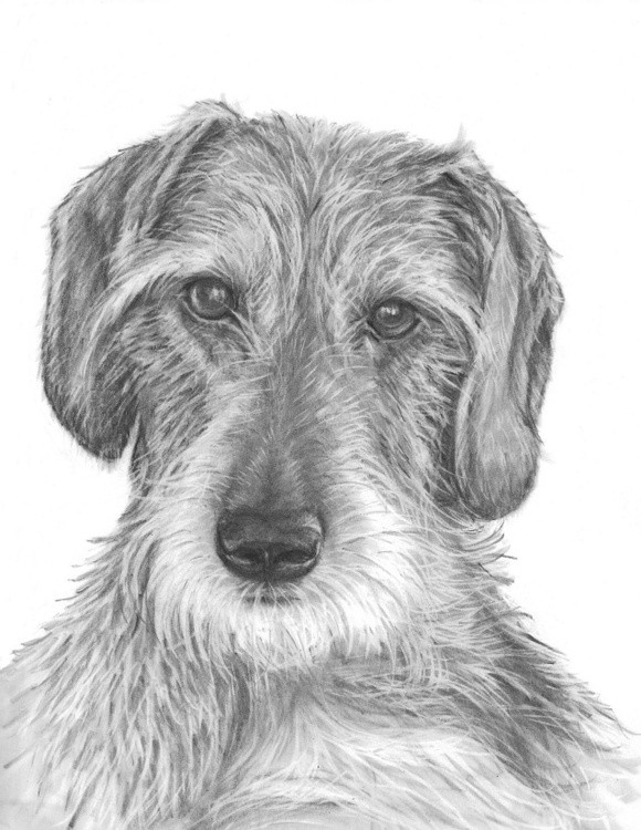 Freida 