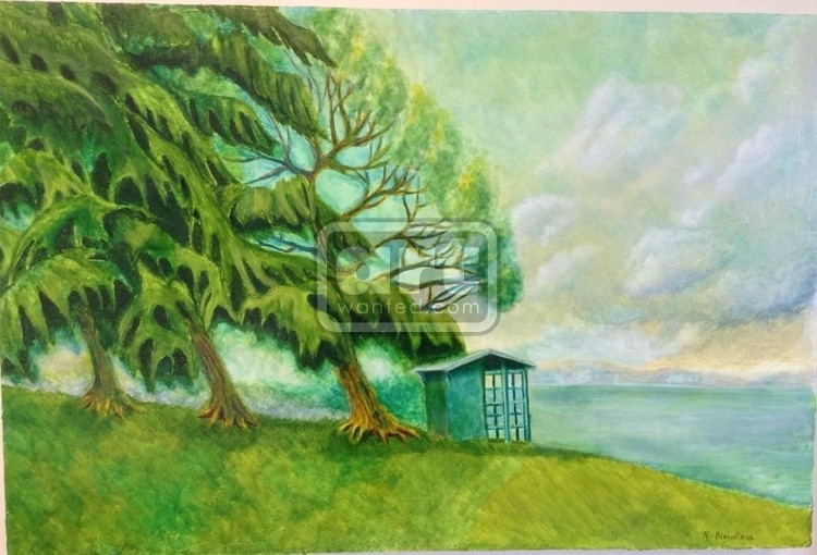 Lake 5