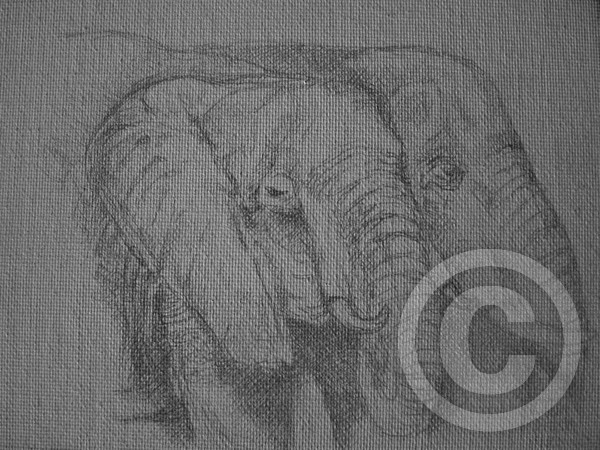 Silverpoint Elephants