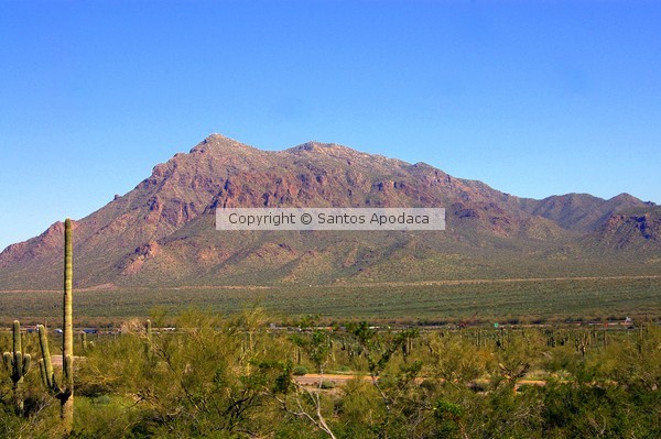 Picacho Mountain 