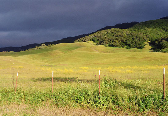 Stormy Golden Hills