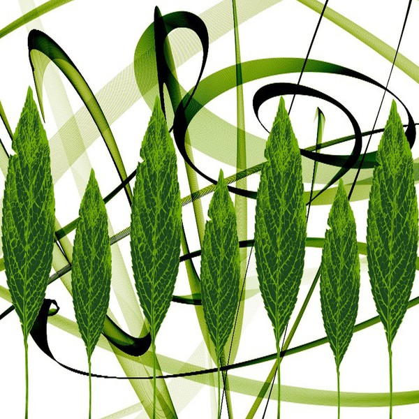 Abstract Leaves