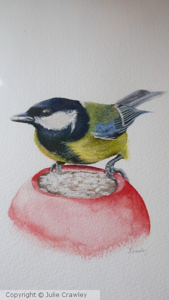 Great Tit