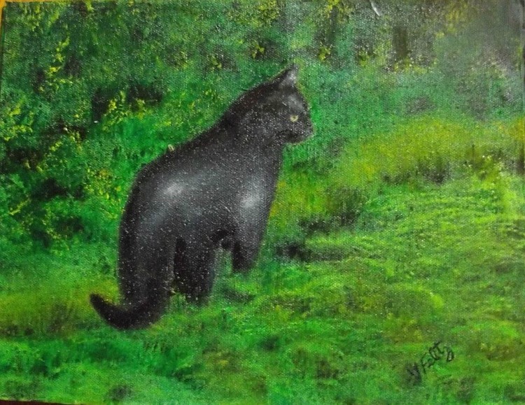 blackkitty