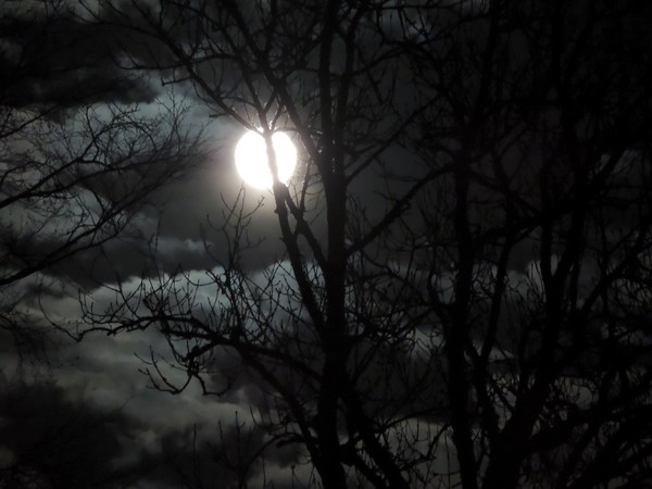 winter moonlight night