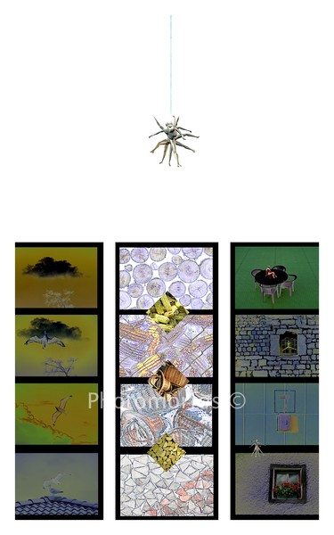 Insetti n°1