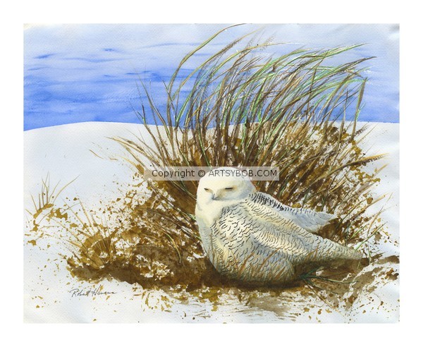 HEDWIG