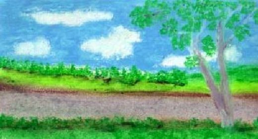 TREE BY A ROAD
