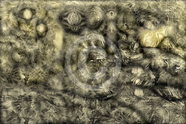 Calosity