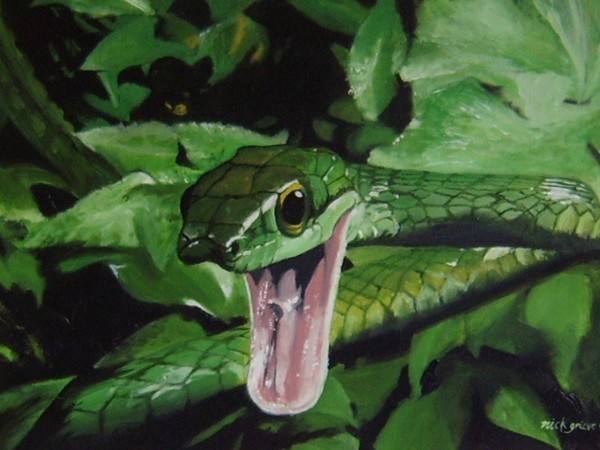 Treesnake