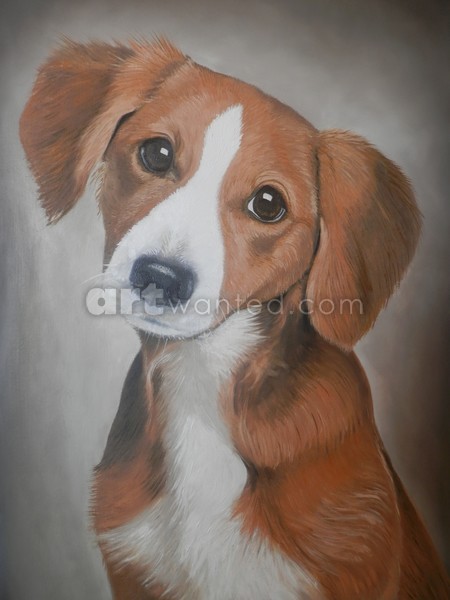 portrait of a dog
