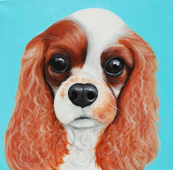 Bromley the King Charles Spaniel