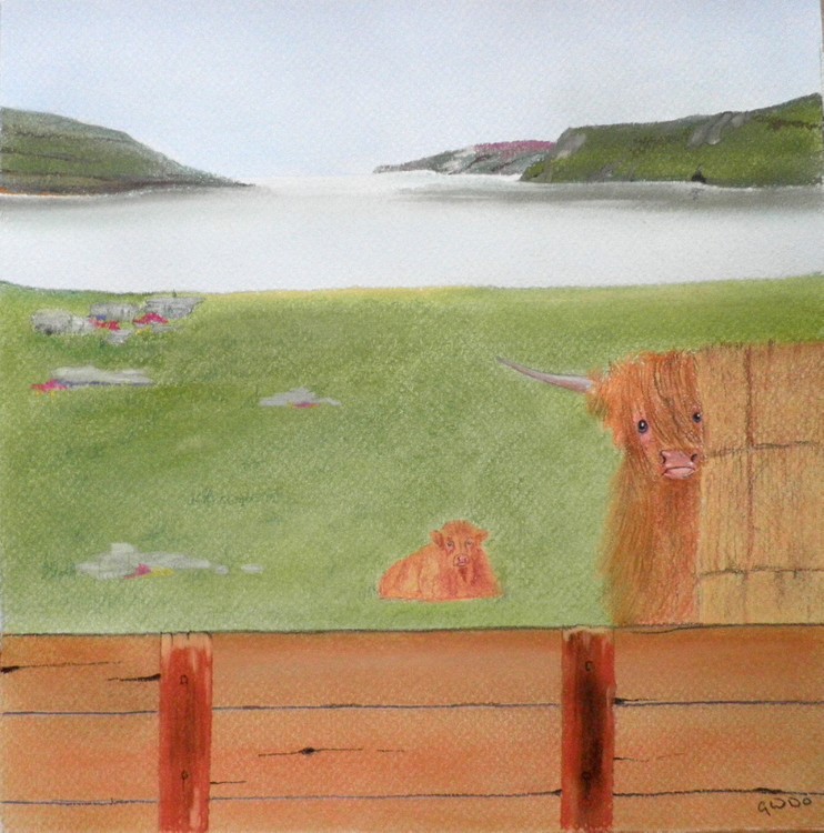 THE HEILAND COO