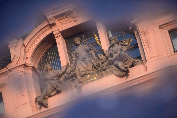 Windows Of Prague - 2