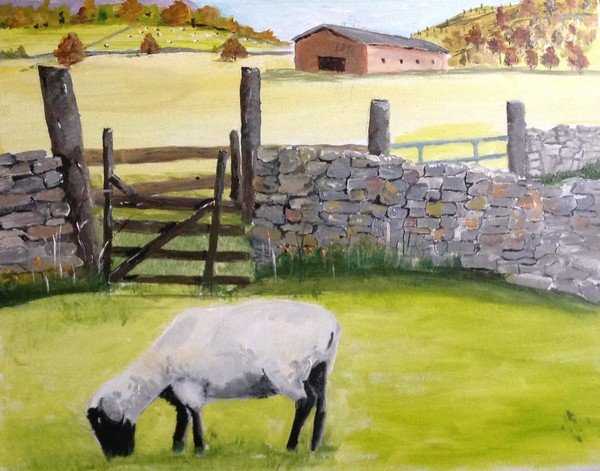 19 Sheep