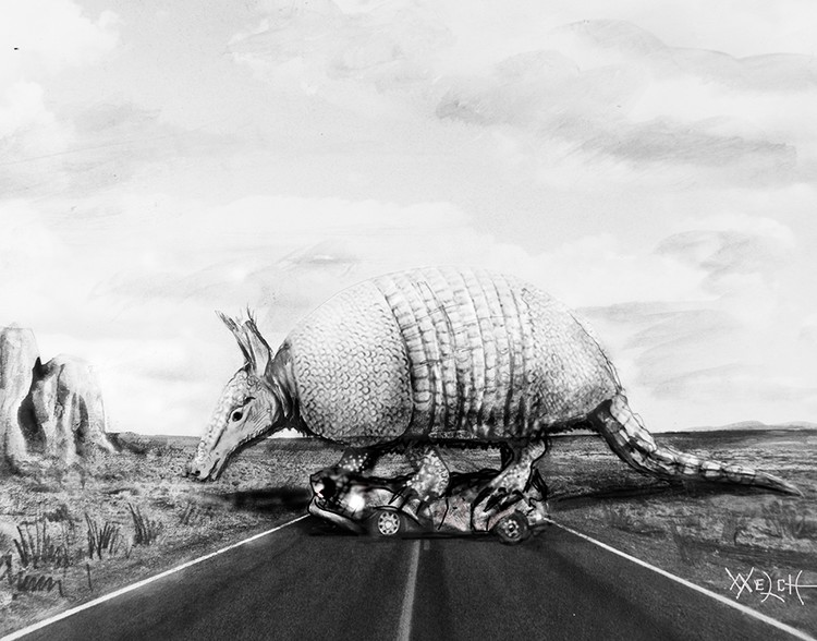ROADKILL REVENGE
