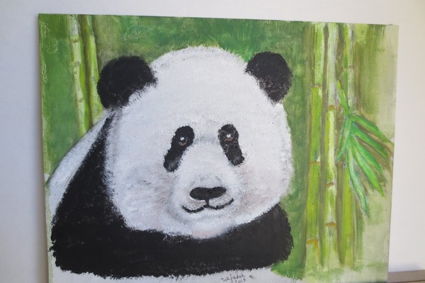 Panda