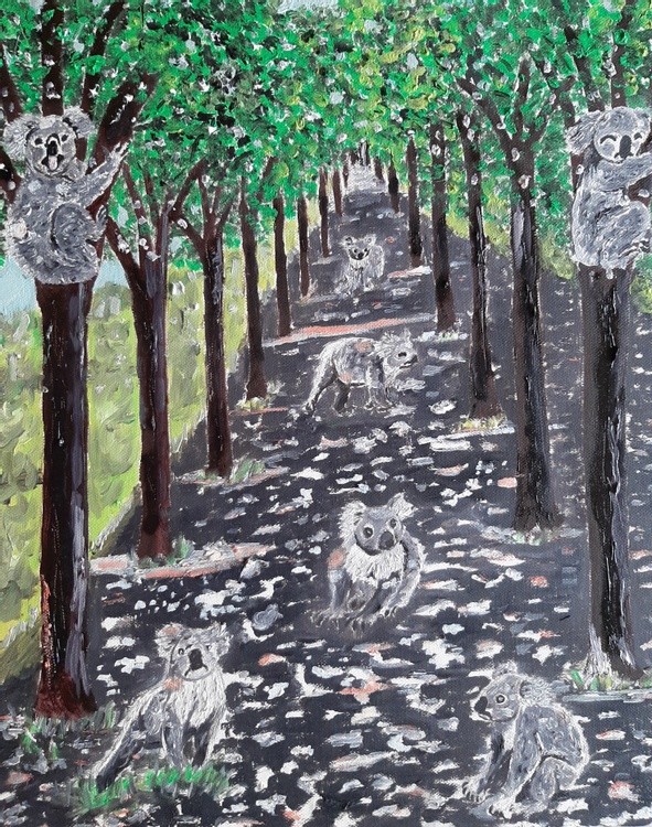 Animal series ---- Koalas