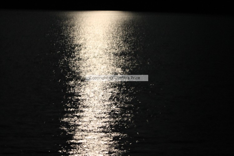 Moonlight Reflections